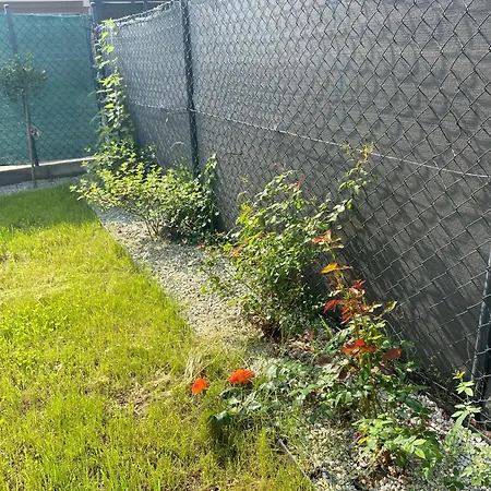 Lipowe Zacisze Апартаменты