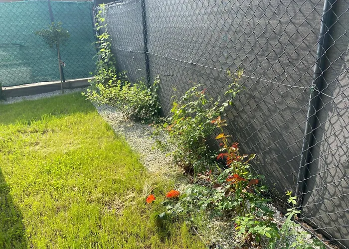 Lipowe Zacisze Apartament